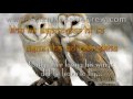 Allah Ke Bandhe - lyrics + Translation (2003) Allah Ke Bandhe - lyrics + Translation (2003)