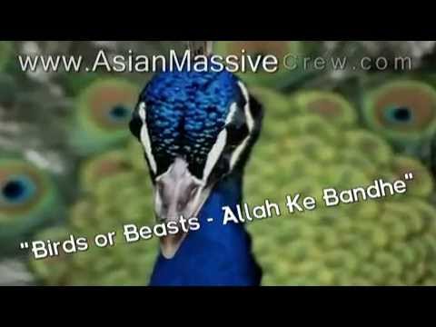 Allah Ke Bandhe - lyrics + Translation (2003) Allah Ke Bandhe - lyrics + Translation (2003)