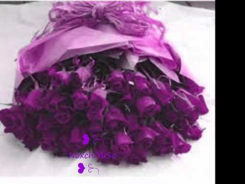 ✿*�.�❀�.�*✿﻿﻿мαѕнα αℓℓαн :::иαѕнєє∂:::✿*�.�❀�.�*✿